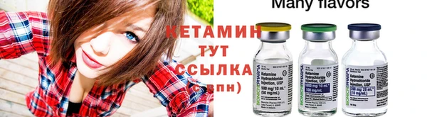 стафф Дмитров