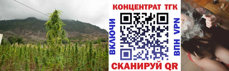купить  сайты  Володарск  Дистиллят ТГК THC oil 